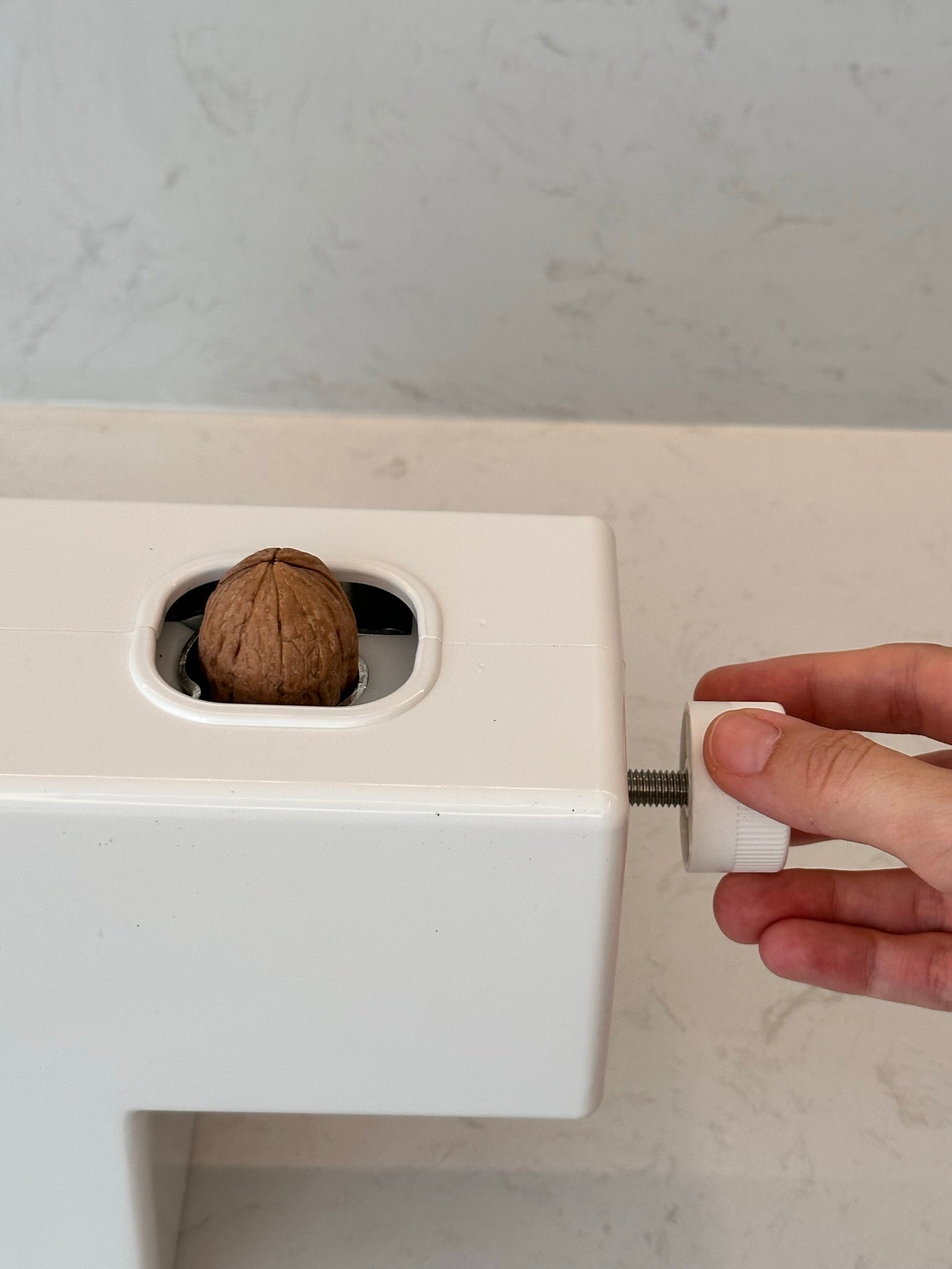 Pelador de almendras Robito Almendra - Pelamatic SL